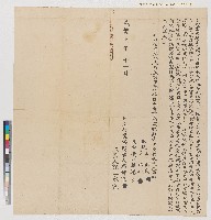 藏品(咸豐十年蔡神求向郡城楊慎記立找盡典契)的圖片